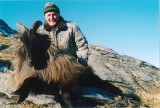 Glenroy Hunting Safaris - New Zealands Best Hunting - tahr88
